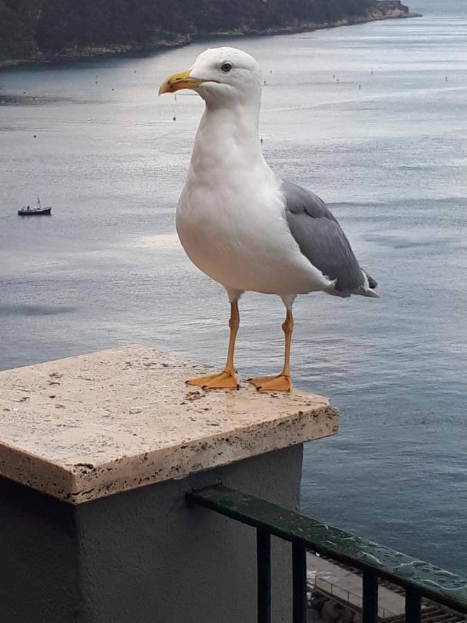 Salerno Centraal Apartment Zewnętrze zdjęcie