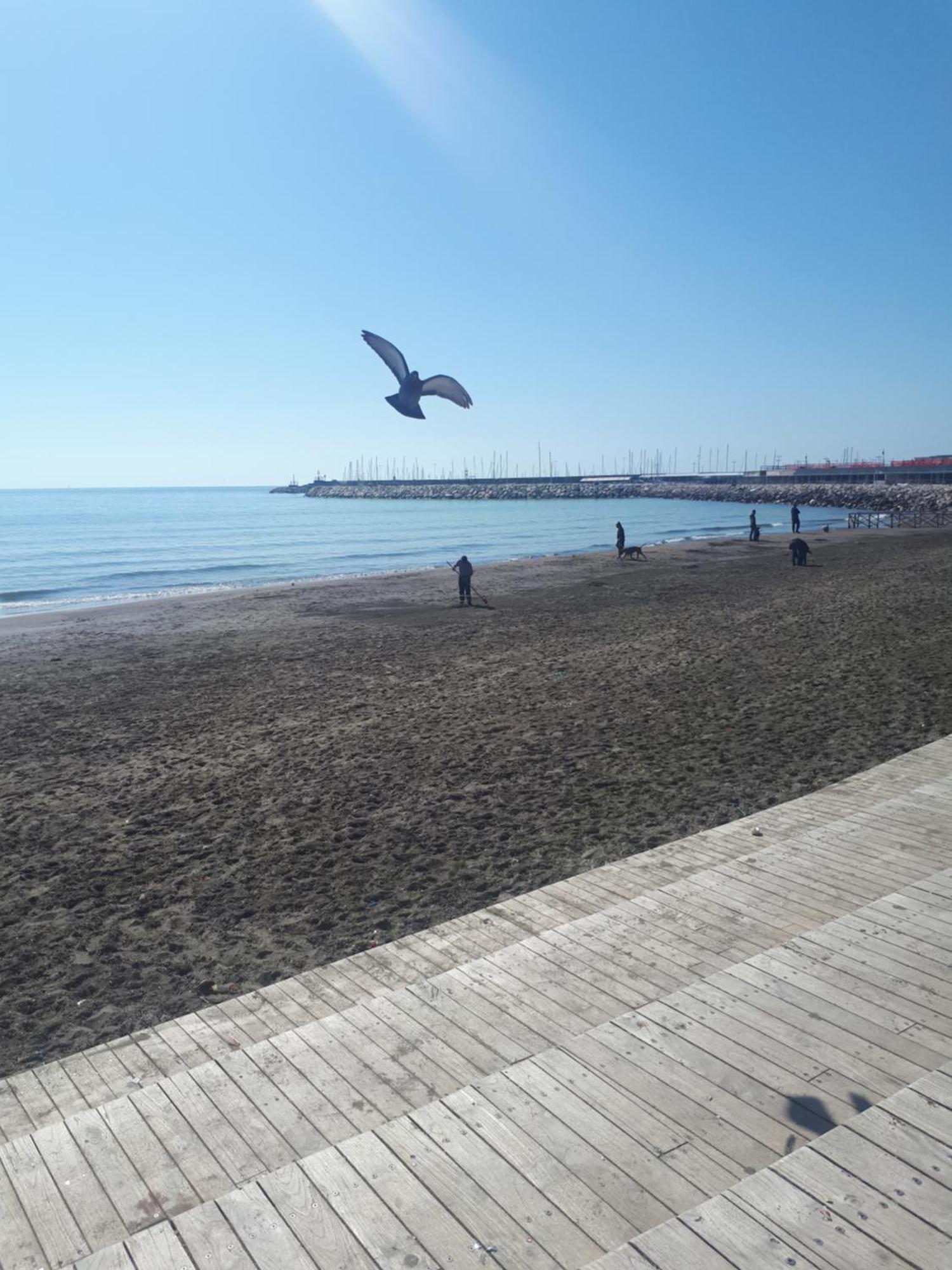 Salerno Centraal Apartment Zewnętrze zdjęcie